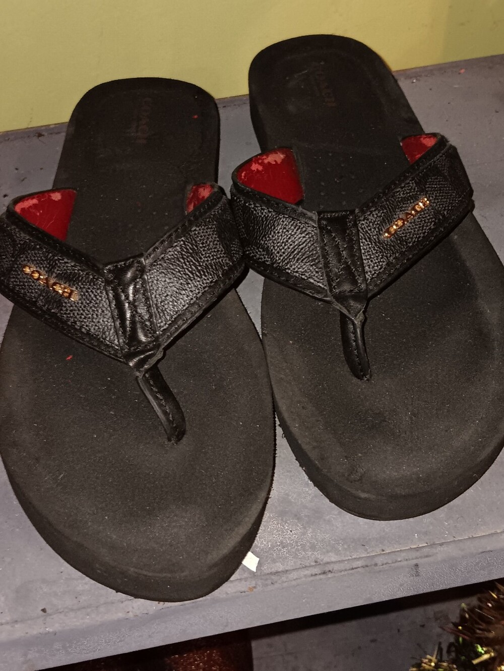 Coach Jolene Platform Wedge Flip-Flops